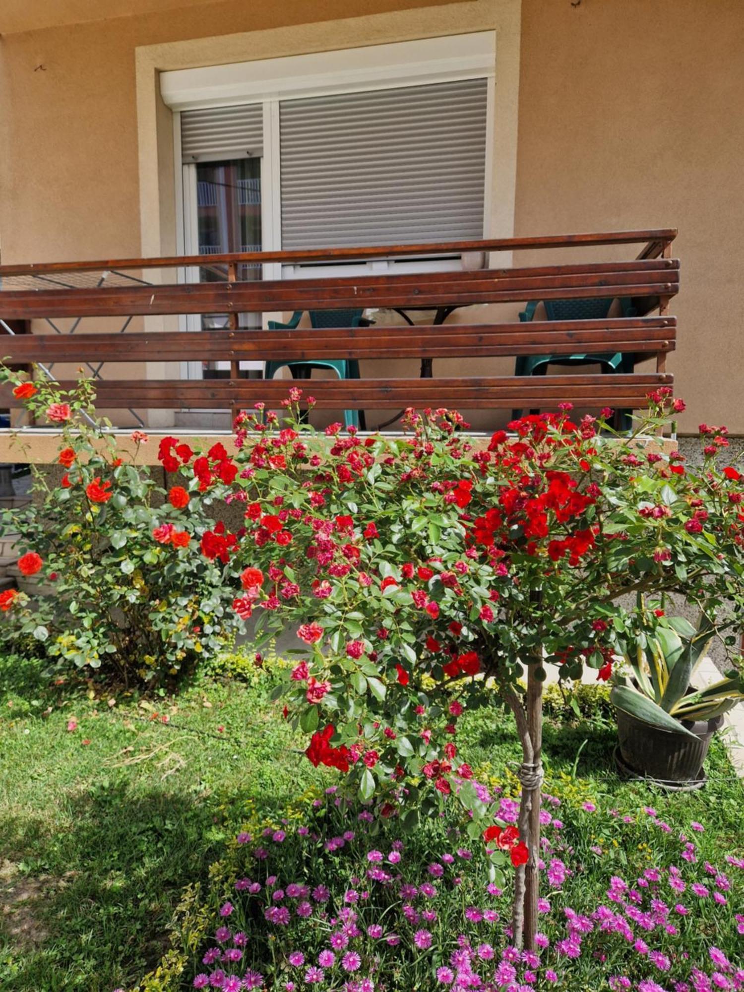 Guesthouse Irac توزلا المظهر الخارجي الصورة